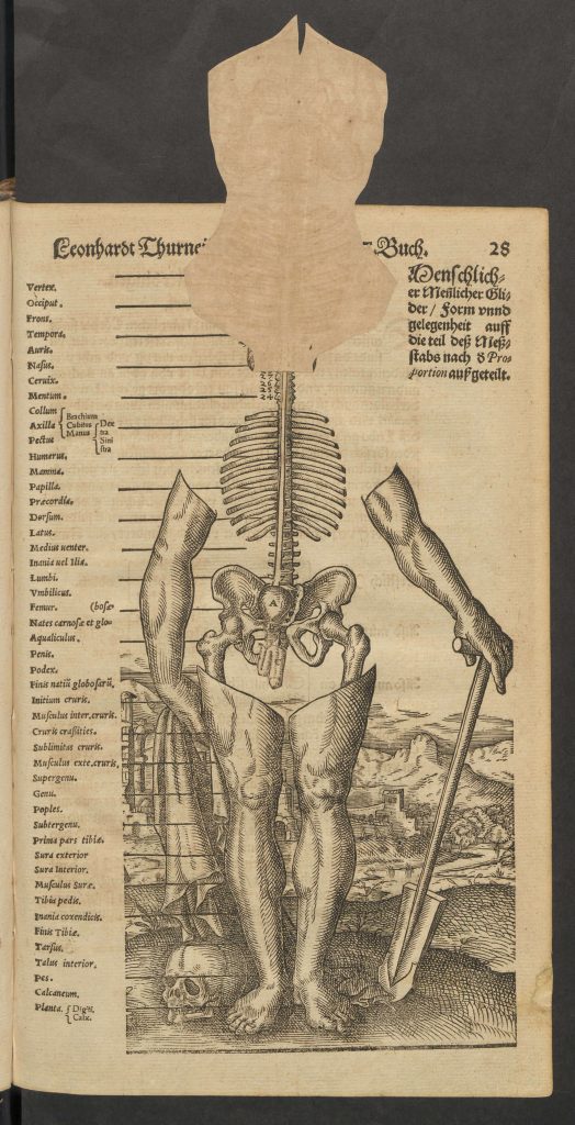 Book open to a page with a labeled human skeleton. The arms and legs are covered in flesh and the skull is covered by a piece of paper.