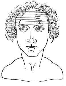 Sketch of a face with seven labeled lines drawn across the forehead.