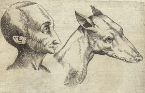 Side-by-side profile sketches of a man and a dog. The man and dog's faces are highly angular