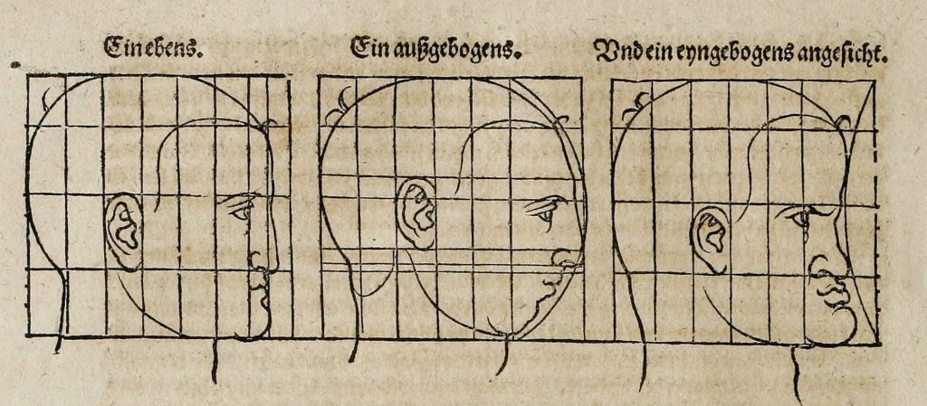 Sketches of three faces with superimposed grids.