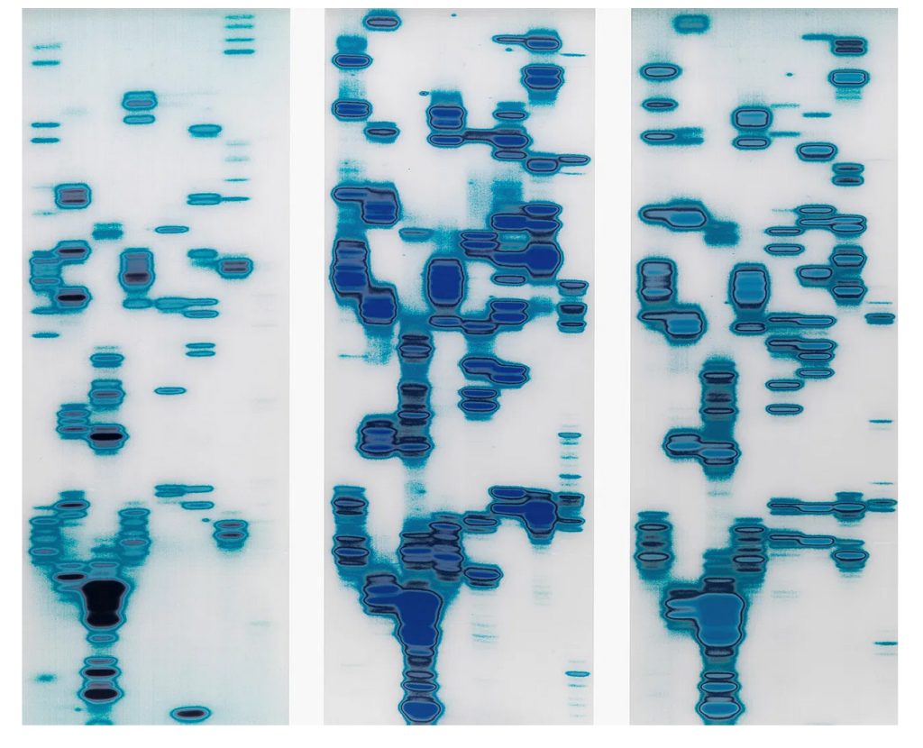 Three chromogenic prints face-mounted to acrylic. Each print is composed of scattered bits of blue dye.